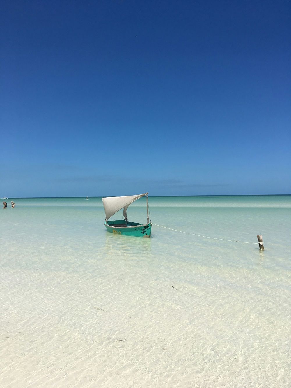 Holbox: Sand Streets, Whale Sharks & Bioluminescence
