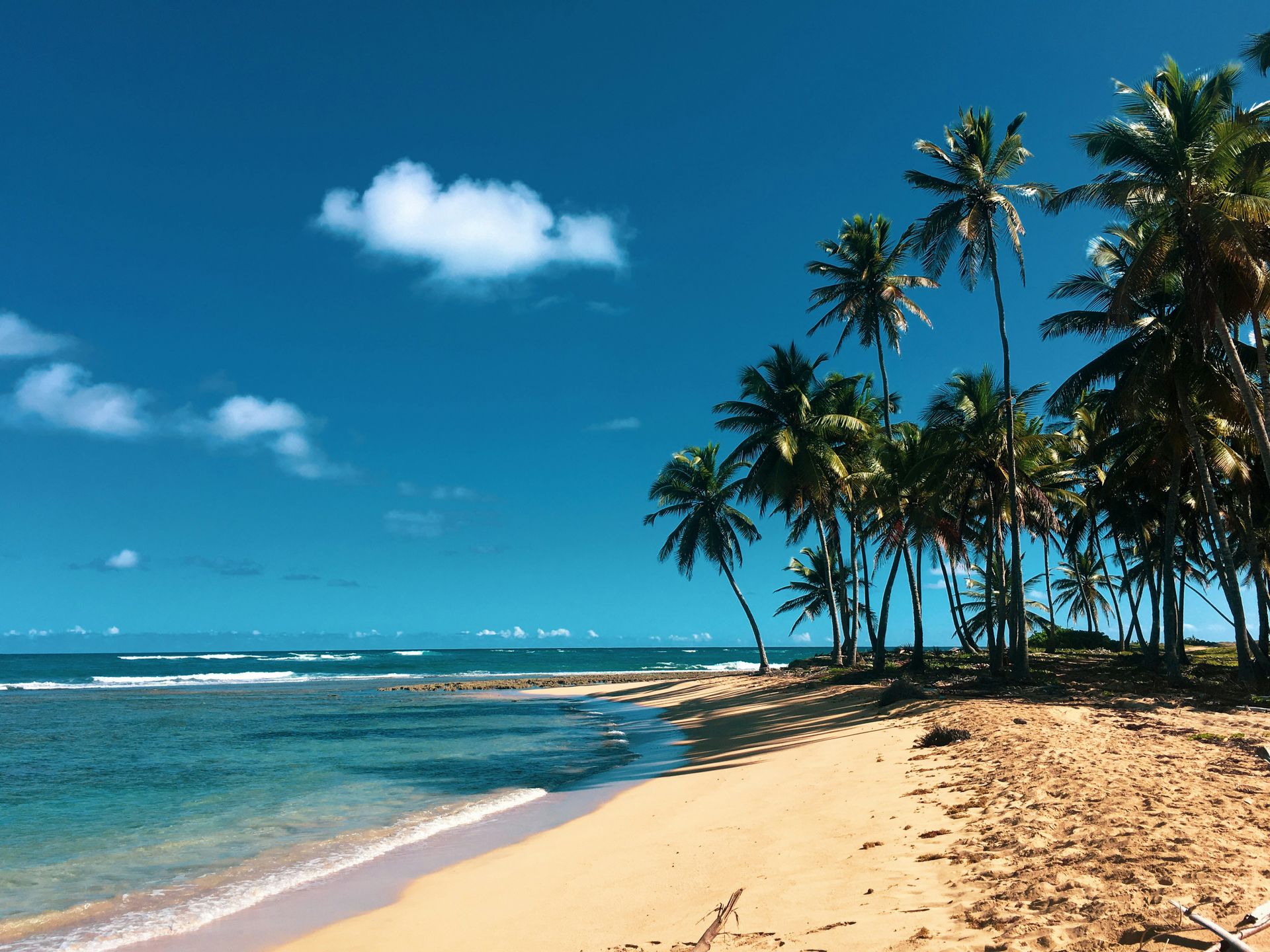 Sun-Kissed 8 Days Tour in Dominican Republic — Punta Cana & Saona